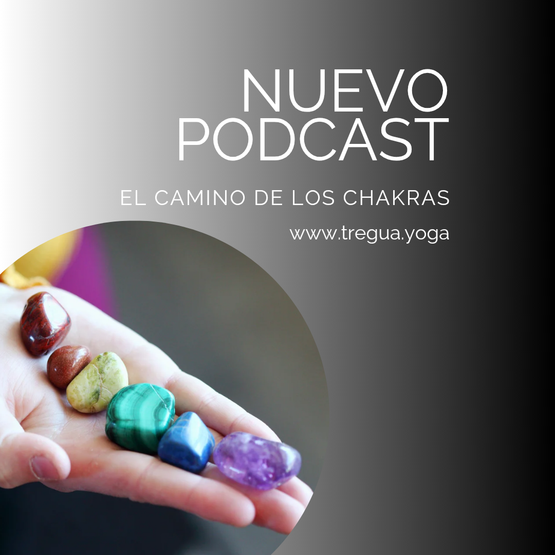 Chakra - yoga - ayurveda